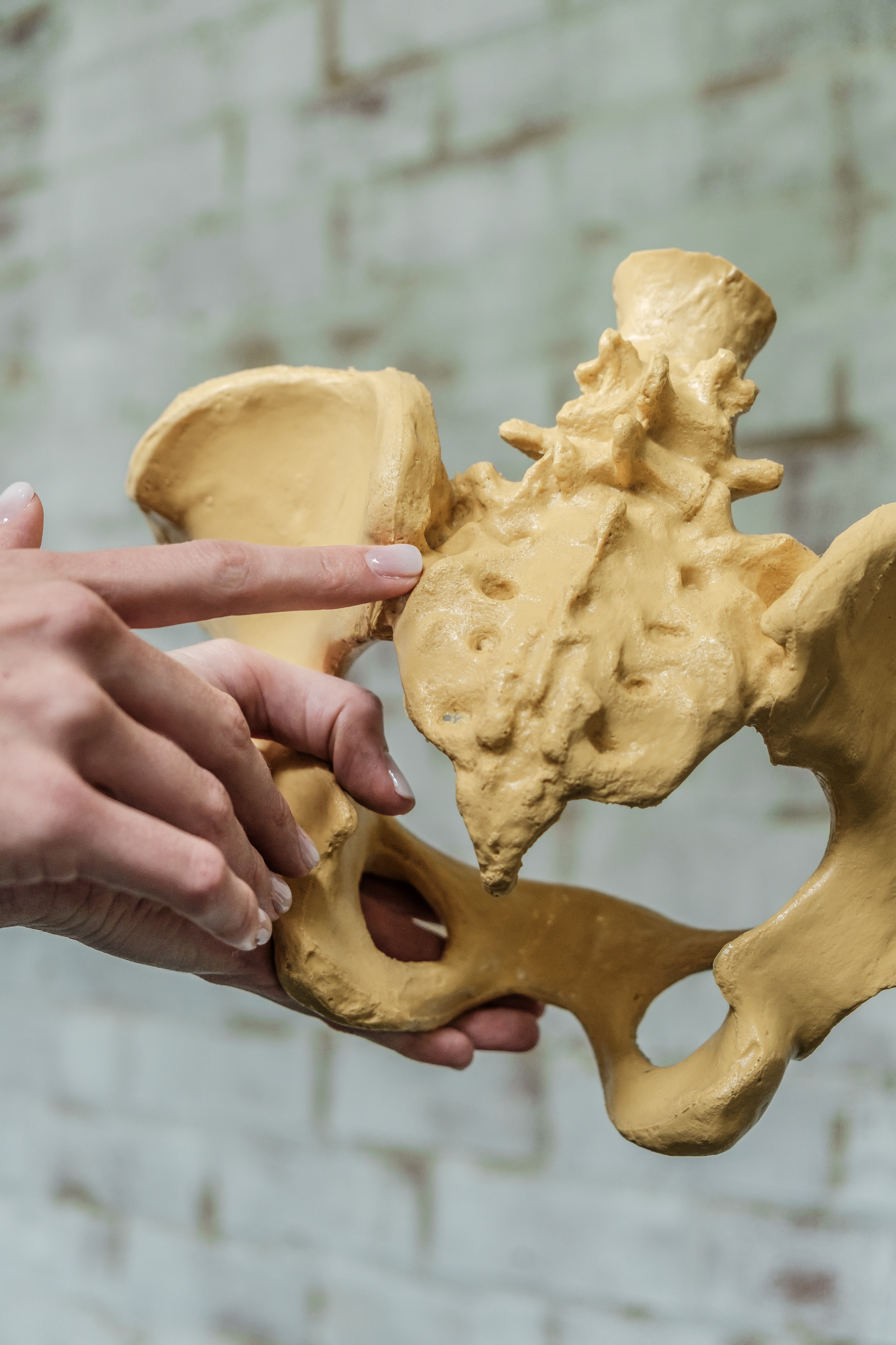 Chiropractic practice